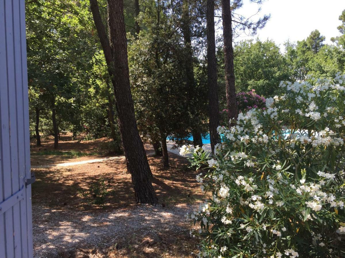 克洛斯德斯西贾尔酒店 Roussillon en Isere 外观 照片